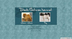 Desktop Screenshot of blackschnau.com